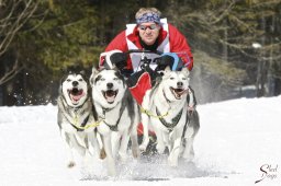 kanderstegemsa2009-02-280487_20111118_1586199620