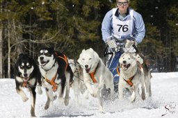 kanderstegemsa2009-02-280527_20111118_2000262247