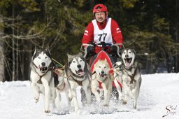 kanderstegemsa2009-02-280556_20111118_1994900367