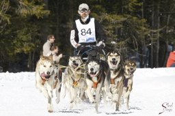 kanderstegemsa2009-02-280568_20111118_1149601621