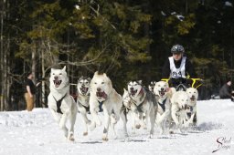 kanderstegemsa2009-02-280587_20111118_1801522447