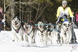 kanderstegemsa2009-02-280589_20111118_1404473914