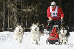 kanderstegemsa2009-02-280798_20111118_1025376017