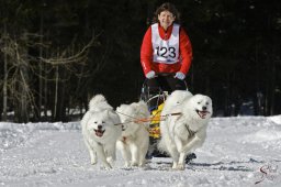 kanderstegemsa2009-02-280807_20111118_1209317684