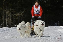 kanderstegemsa2009-02-280809_20111118_2039930969