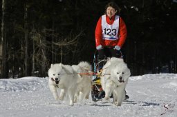 kanderstegemsa2009-02-280810_20111118_1785670999