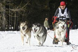 kanderstegemsa2009-02-280812_20111118_1966374191