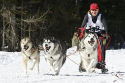 kanderstegemsa2009-02-280814_20111118_1642254910