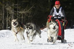 kanderstegemsa2009-02-280815_20111118_1091325123