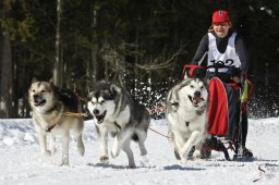 kanderstegemsa2009-02-280817_20111118_1857696407