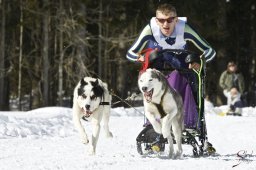 kanderstegemsa2009-02-280834_20111118_1210128733