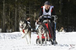 kanderstegemsa2009-02-280887_20111118_1042259640