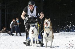 kanderstegemsa2009-02-281012_20111118_1376407107