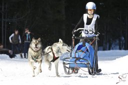 kanderstegemsa2009-02-281029_20111118_1501214241