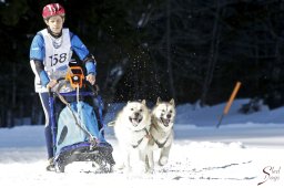 kanderstegemsa2009-02-281041_20111118_1778343965