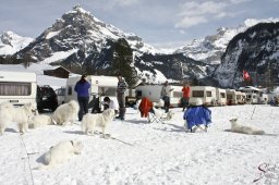 kanderstegemstakeout2009-02-260006_20111118_1526581803