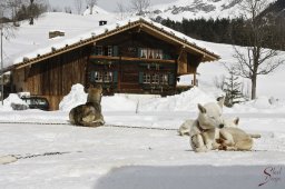 kanderstegemstakeout2009-02-260032_20111118_1040857471