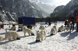 kanderstegemstakeout2009-02-270065_20111118_1875053399