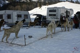 kanderstegemstakeout2009-02-270076_20111118_1555960637