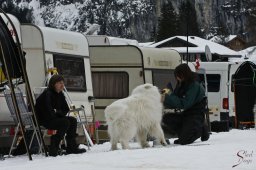 kanderstegemstakeout2009-03-010127_20111118_1117581064