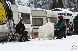 kanderstegemstakeout2009-03-010129_20111118_1951157721