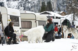 kanderstegemstakeout2009-03-010130_20111118_1098174799