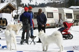 kanderstegemstakeout2009-03-010137_20111118_1440305495