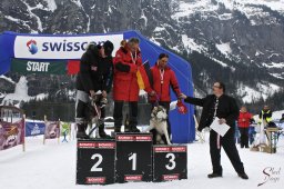 kanderstegemstakeout2009-03-010202_20111118_2066892731