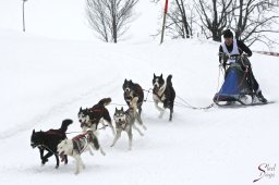 kanderstegfrundso0019_20111118_1020813327