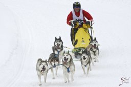 kanderstegfrundso0032_20111118_1751676538