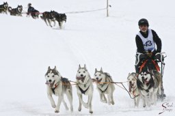 kanderstegfrundso0036_20111118_1206633927