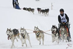 kanderstegfrundso0037_20111118_1189754549