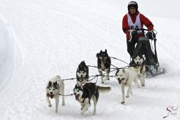 kanderstegfrundso0057_20111118_1404963130