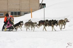 kanderstegfrundso0078_20111118_2068801625