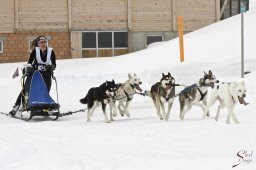 kanderstegfrundso0099_20111118_1121682855