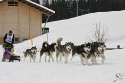 kanderstegfrundso0140_20111118_1402386255