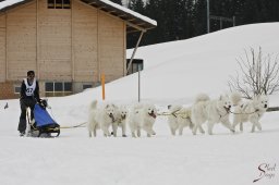 kanderstegfrundso0168_20111118_1591639456