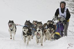 kanderstegfrundso0180_20111118_1289184090