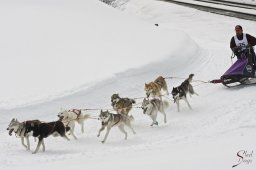 kanderstegfrundso0189_20111118_2063341008