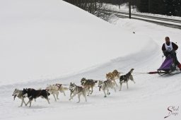 kanderstegfrundso0190_20111118_1229861340