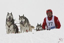 kanderstegfrundso0199_20111118_1365487949