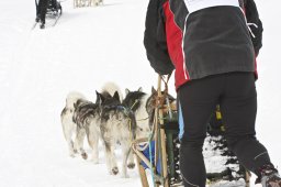 kanderstegfrundso0220_20111118_1788826324