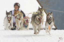 kanderstegfrundso0237_20111118_1513434128