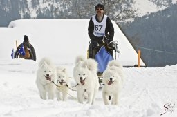 kanderstegfrundso0278_20111118_1350353084