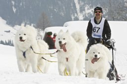 kanderstegfrundso0281_20111118_1829949797