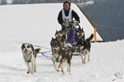 kanderstegfrundso0290_20111118_1868830094