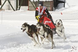 kanderstegfrundso0316_20111118_1333038419