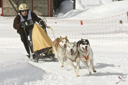 kanderstegfrundso0330_20111118_1287106632