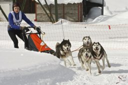 kanderstegfrundso0337_20111118_1186874806