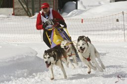 kanderstegfrundso0340_20111118_1533018520